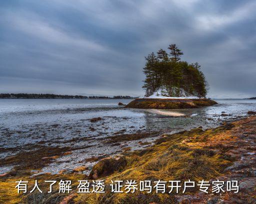 有人了解 盈透 證券嗎有開(kāi)戶專家嗎