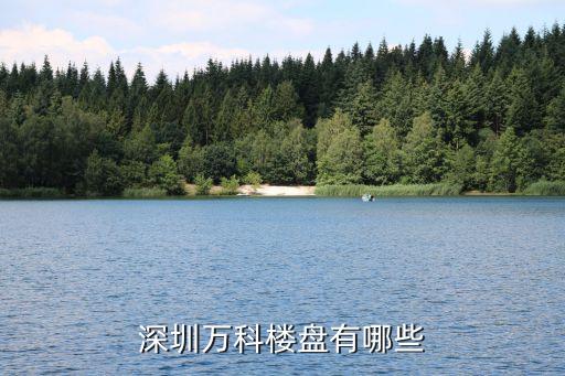 深圳市名磊房地產(chǎn)開(kāi)發(fā)有限公司