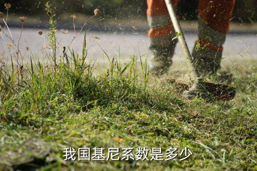 我國基尼系數是多少