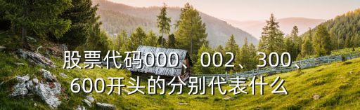  股票代碼000、002、300、600開頭的分別代表什么