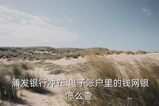 浦發(fā)銀行電子現金