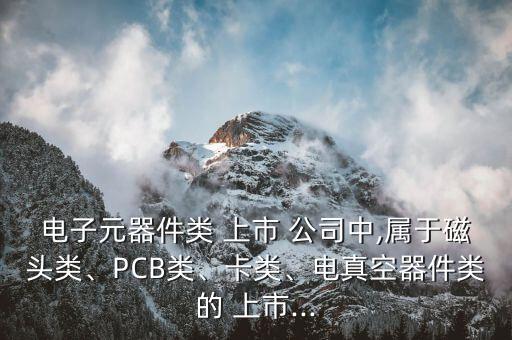 電子元器件類(lèi) 上市 公司中,屬于磁頭類(lèi)、PCB類(lèi)、卡類(lèi)、電真空器件類(lèi)的 上市...