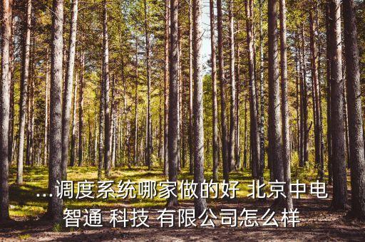 ...調度系統(tǒng)哪家做的好 北京中電智通 科技 有限公司怎么樣