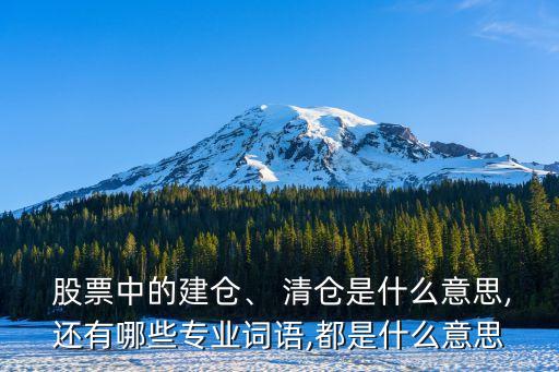 股票中的建倉、 清倉是什么意思,還有哪些專業(yè)詞語,都是什么意思