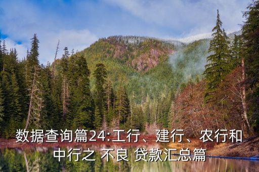 數(shù)據(jù)查詢(xún)篇24:工行、建行、農(nóng)行和中行之 不良 貸款匯總篇
