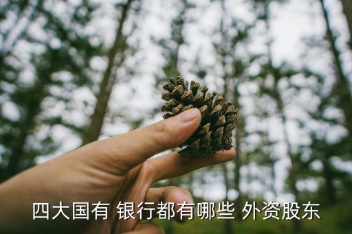 四大國有 銀行都有哪些 外資股東