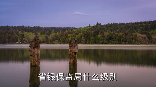 商業(yè)銀行監(jiān)管評級查詢,銀監(jiān)會(huì)商業(yè)銀行監(jiān)管評級結(jié)果