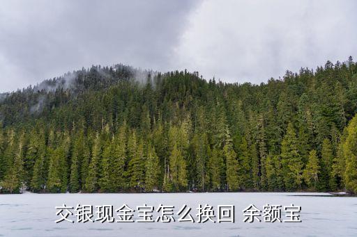 余額寶交通銀行,交通銀行有像余額寶一樣的理財產品嗎