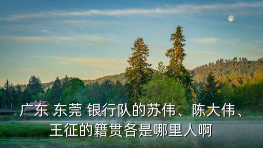 廣東 東莞 銀行隊的蘇偉、陳大偉、王征的籍貫各是哪里人啊
