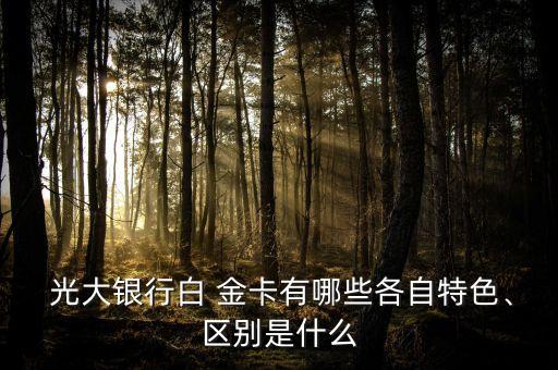  光大銀行白 金卡有哪些各自特色、區(qū)別是什么