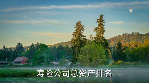 壽險公司總資產排名
