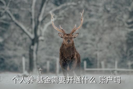 個(gè)人養(yǎng) 基金需要開(kāi)通什么 賬戶嗎