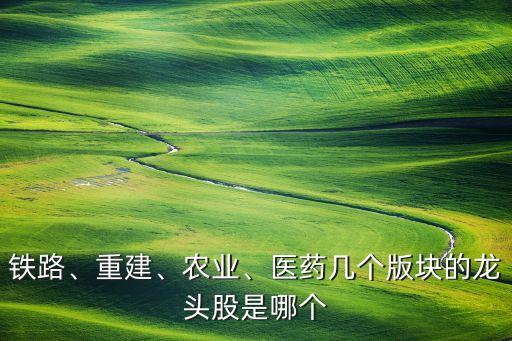 鐵路、重建、農(nóng)業(yè)、醫(yī)藥幾個版塊的龍頭股是哪個