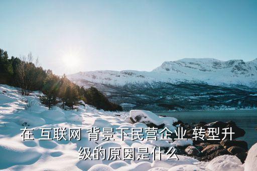 在 互聯(lián)網(wǎng) 背景下民營企業(yè) 轉型升級的原因是什么