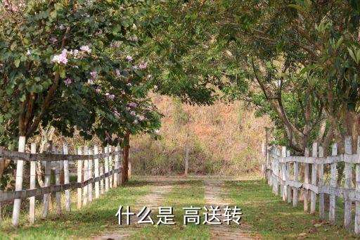 股票高送轉條件,高送轉股票一覽表2023