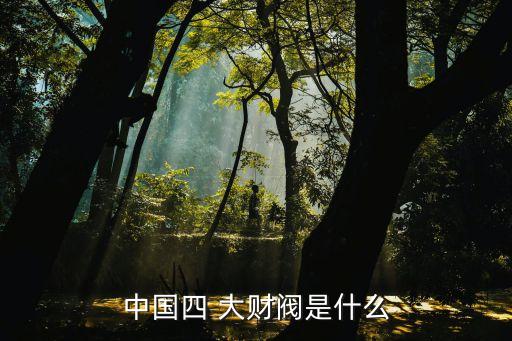 中國四 大財(cái)閥是什么