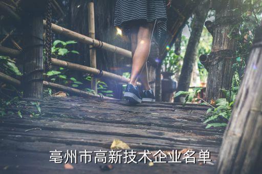 亳州市高新技術企業(yè)名單