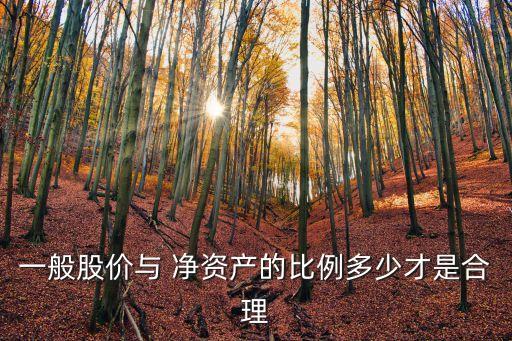 一般股價與 凈資產的比例多少才是合理