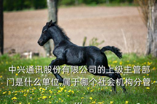  中興通訊股份有限公司的上級主管部門是什么單位,屬于哪個社會機(jī)構(gòu)分管...
