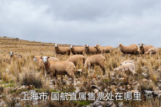  上海市 國(guó)航直屬售票處在哪里