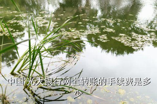 中國 光大銀行網(wǎng)上轉(zhuǎn)賬的手續(xù)費(fèi)是多少