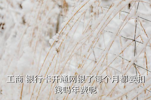 工商 銀行卡開(kāi)通網(wǎng)銀了每個(gè)月都要扣錢(qián)嗎年費(fèi)呢