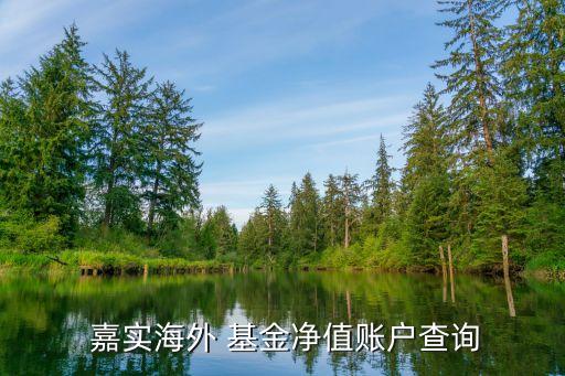 嘉實(shí)基金個人登陸