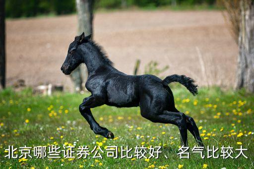 北京哪些證券公司比較好、名氣比較大