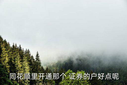  同花順里開(kāi)通那個(gè) 證券的戶(hù)好點(diǎn)呢