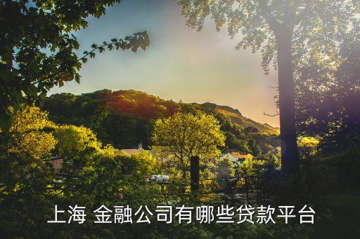 互聯(lián)網(wǎng)金融是上海全球,上海欣機(jī)會互聯(lián)網(wǎng)金融怎么樣