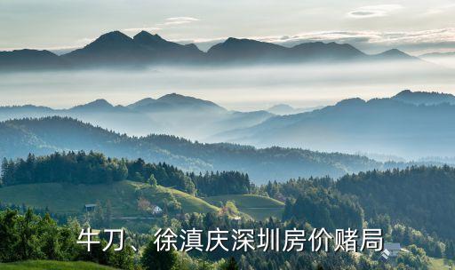  牛刀、徐滇慶深圳房?jī)r(jià)賭局