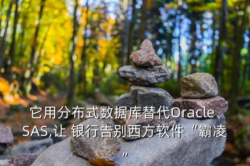 它用分布式數(shù)據(jù)庫(kù)替代Oracle、SAS,讓 銀行告別西方軟件“霸凌”