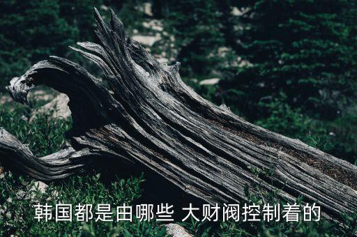 韓國都是由哪些 大財(cái)閥控制著的