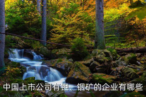 中國上市公司有鉭、銦礦的企業(yè)有哪些