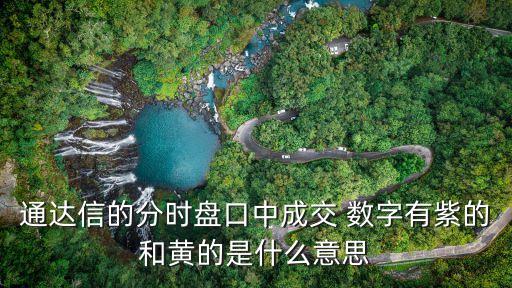 股票大紫單數(shù)字盤語(yǔ),股票出現(xiàn)很多一樣數(shù)字的賣單