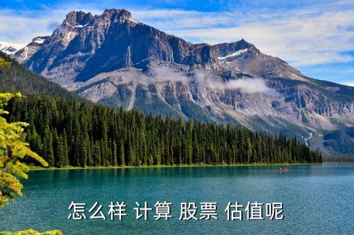 怎么樣 計(jì)算 股票 估值呢