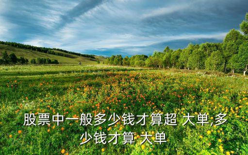  股票中一般多少錢(qián)才算超 大單,多少錢(qián)才算 大單