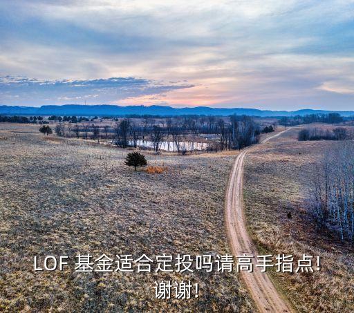 LOF 基金適合定投嗎請高手指點(diǎn)!謝謝!