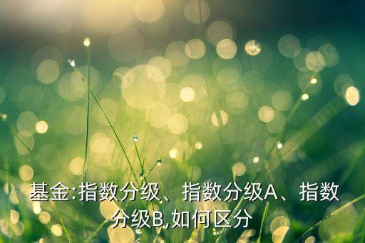  基金:指數(shù)分級、指數(shù)分級A、指數(shù)分級B,如何區(qū)分