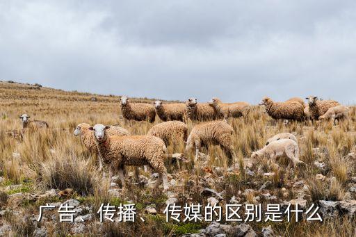  廣告、傳播、 傳媒的區(qū)別是什么
