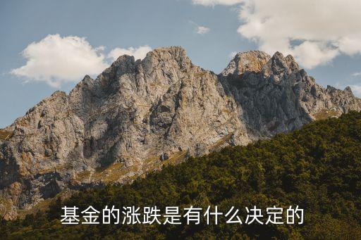 對沖基金經理txt