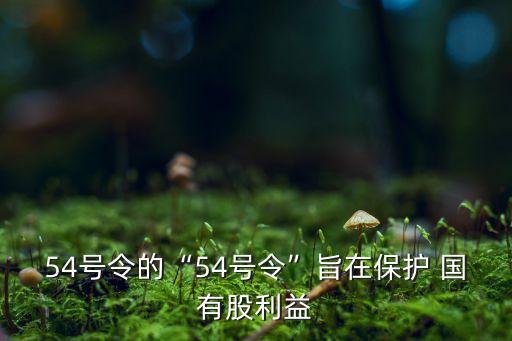 54號(hào)令的“54號(hào)令”旨在保護(hù) 國有股利益