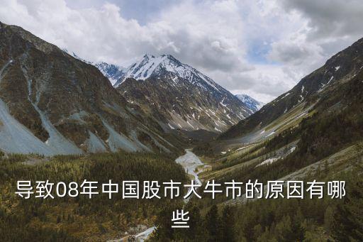導致08年中國股市大牛市的原因有哪些
