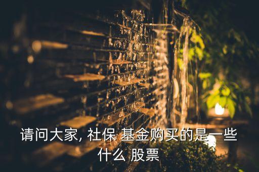 社保107基金持有的股票,2022年社?；鹬貍}股票