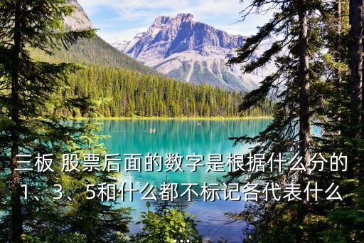 三板 股票后面的數(shù)字是根據(jù)什么分的1、3、5和什么都不標記各代表什么...