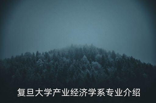  復旦大學產業(yè)經濟學系專業(yè)介紹