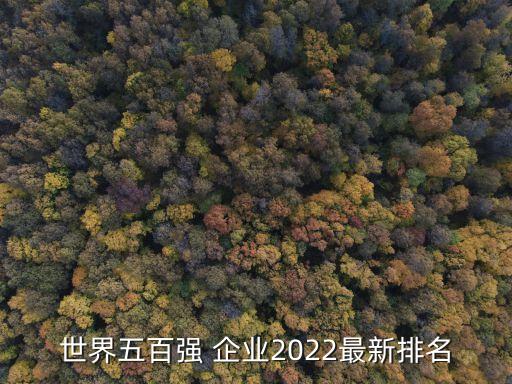 中國投資企業(yè)聯盟,中國企業(yè)走出去聯盟
