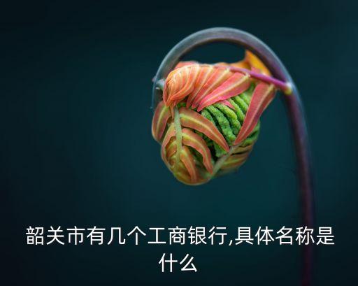 韶關中國銀行韶關韶鋼支行電話