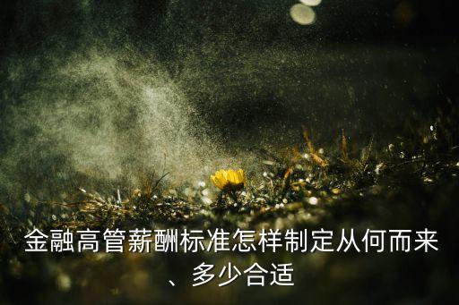  金融高管薪酬標(biāo)準(zhǔn)怎樣制定從何而來(lái)、多少合適