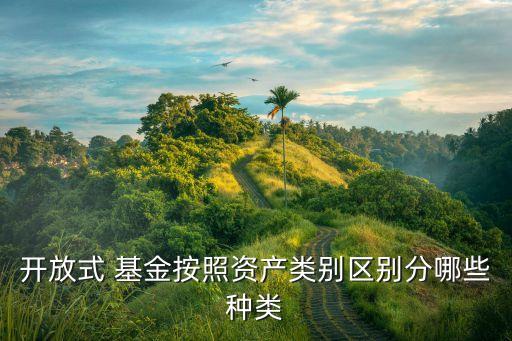 開放式 基金按照資產類別區(qū)別分哪些種類